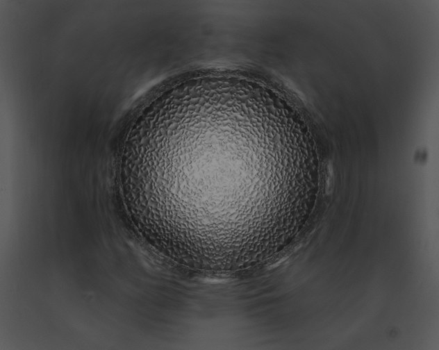 X0000091371158200708311519