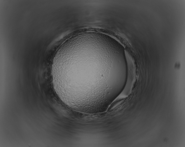 X0000091371159200708311519