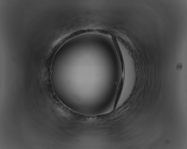 X0000091371160200708311519