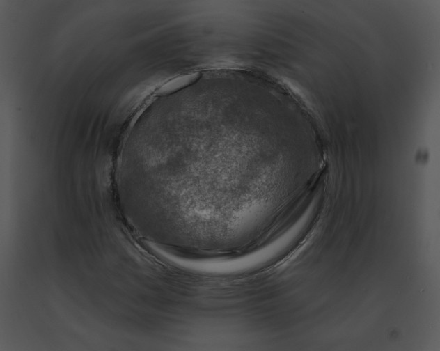 X0000091371161200708311519