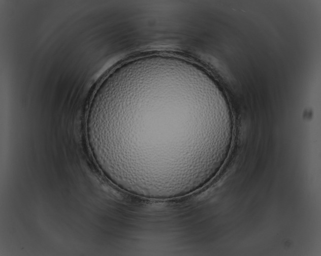 X0000091371162200708311519