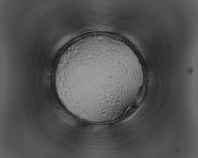 X0000091371163200708311519