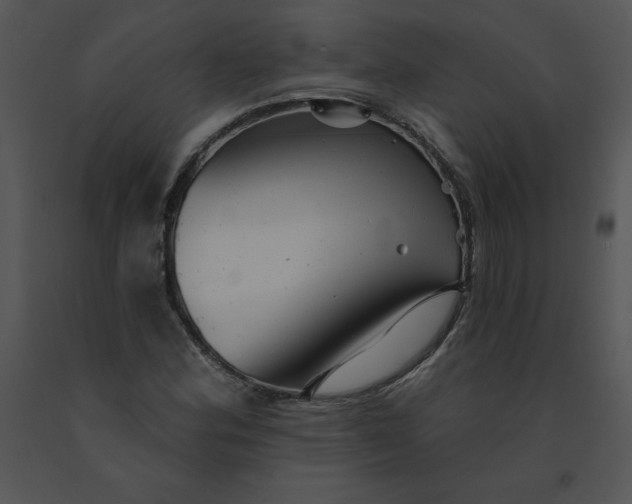 X0000091371164200708311519