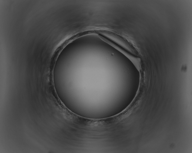 X0000091371165200708311519