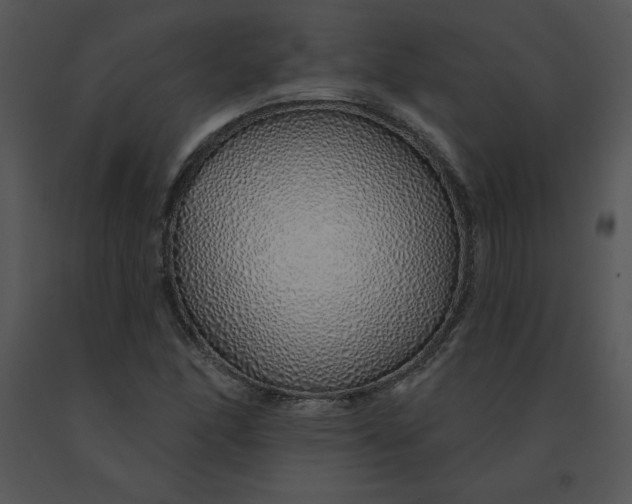 X0000091371166200708311519