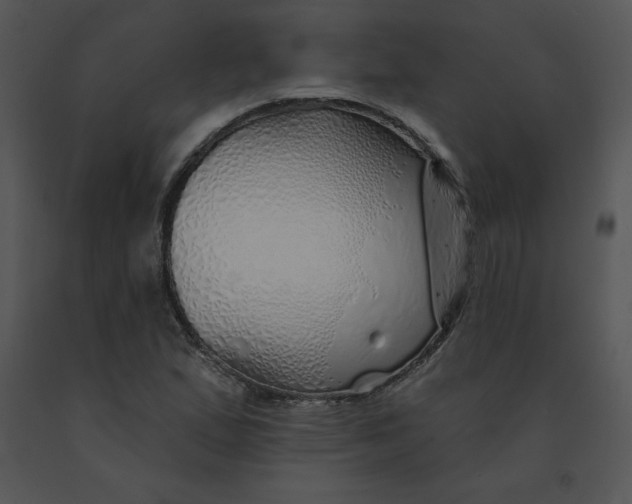 X0000091371167200708311519