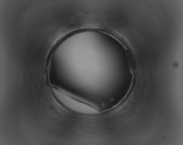 X0000091371168200708311519