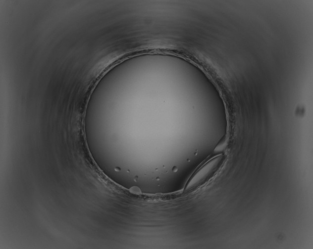 X0000091371169200708311519