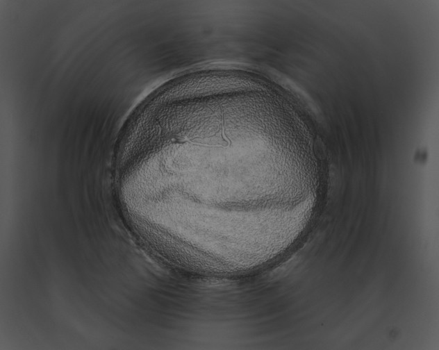 X0000091371170200708311519