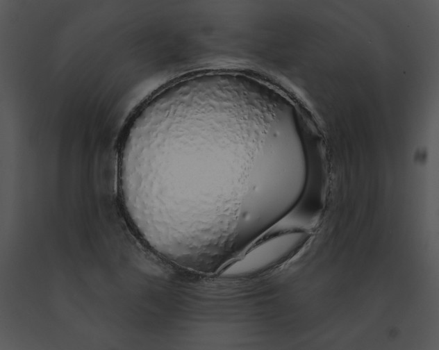 X0000091371171200708311519