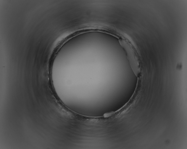 X0000091371172200708311519