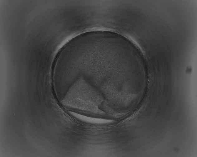 X0000091371173200708311519