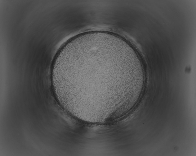 X0000091371174200708311519