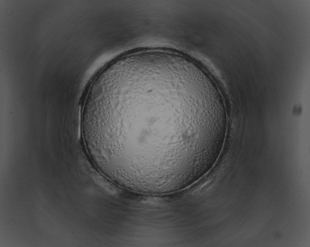 X0000091371175200708311519