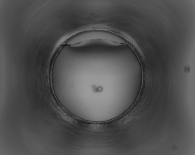 X0000091371176200708311519