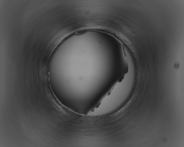 X0000091371177200708311519