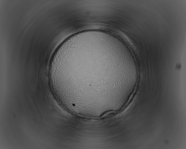 X0000091371178200708311519