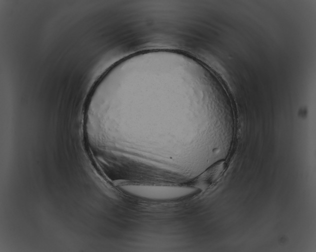 X0000091371179200708311519