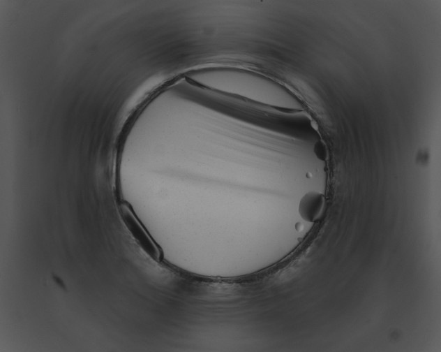 X0000091371180200708311519