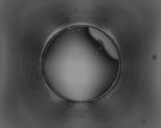 X0000091371181200708311519