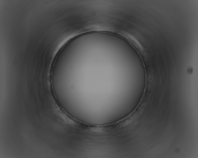 X0000091371182200708311519