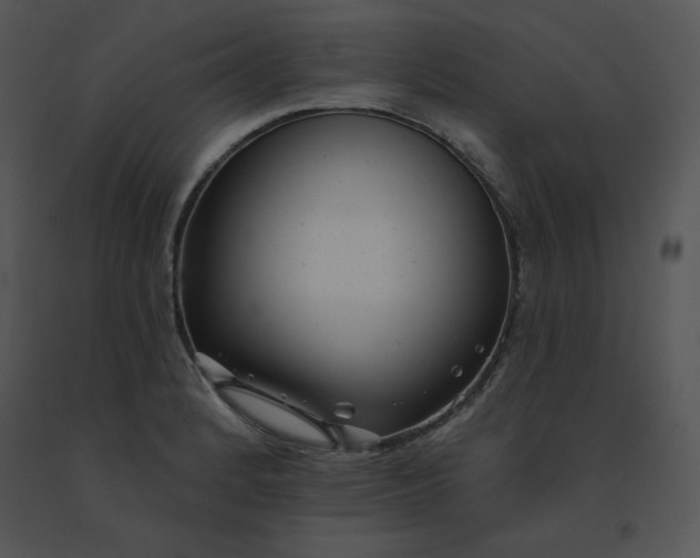 X0000091371184200708311519