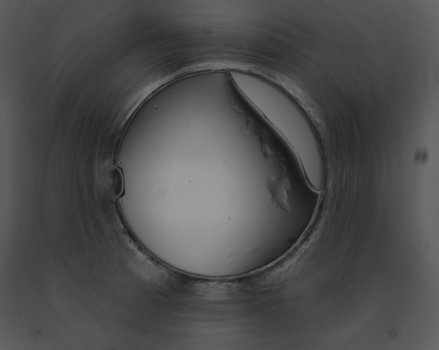 X0000091371185200708311519