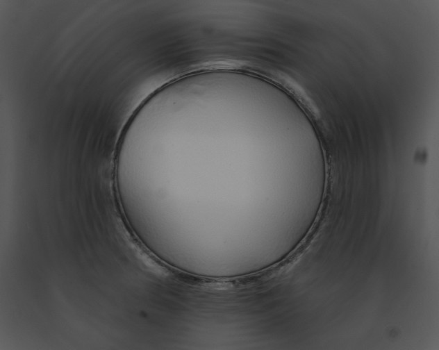 X0000091371186200708311519