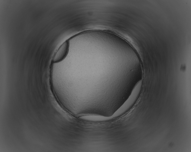 X0000091371187200708311519