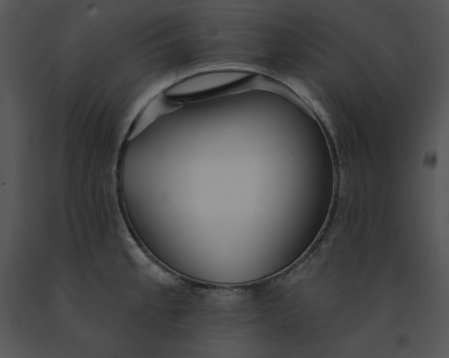 X0000091371189200708311519