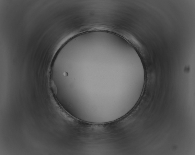 X0000091371190200708311519