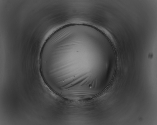 X0000091371191200708311519