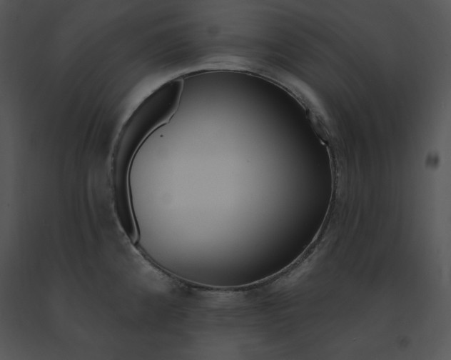 X0000091371192200708311519