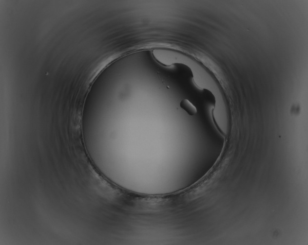 X0000091371193200708311519