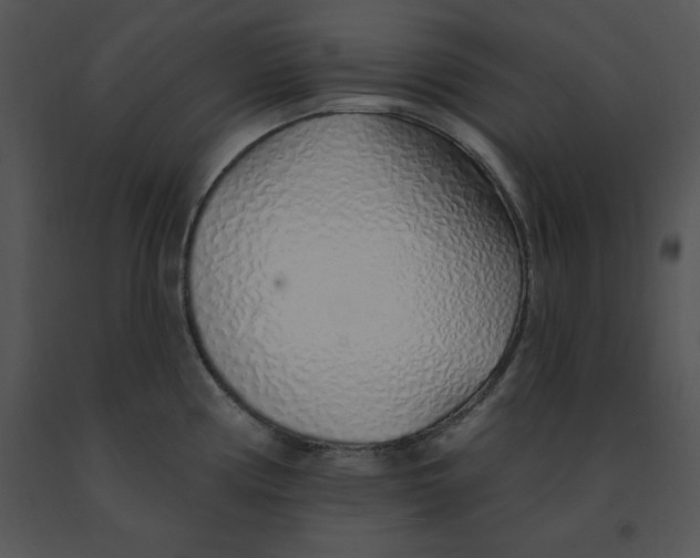 X0000091371194200708311519