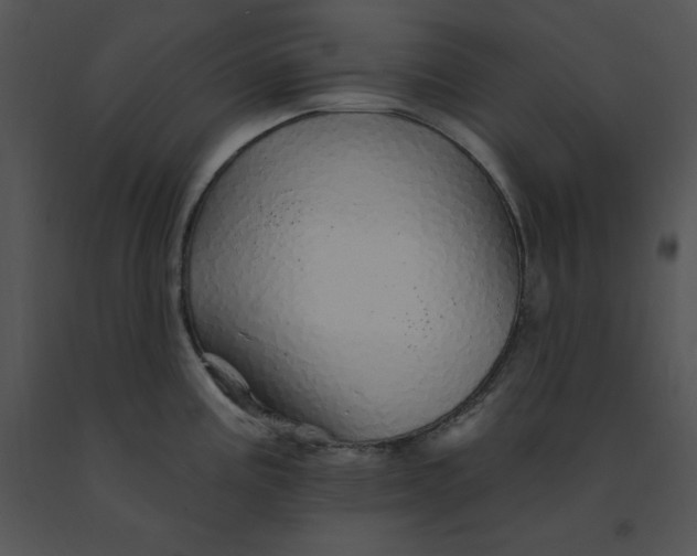 X0000091371195200708311519