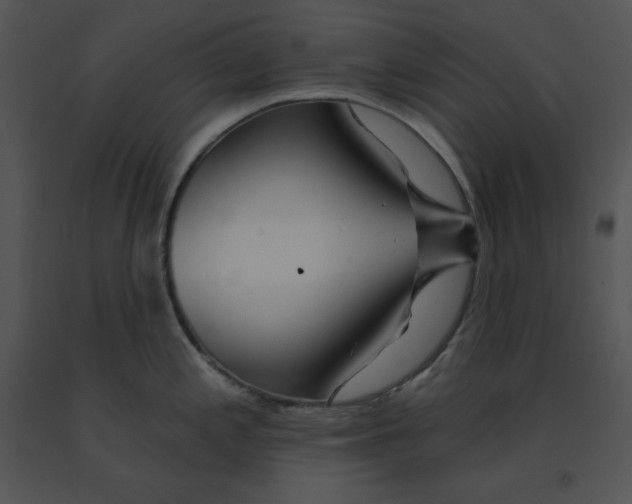 X0000091371197200708311519