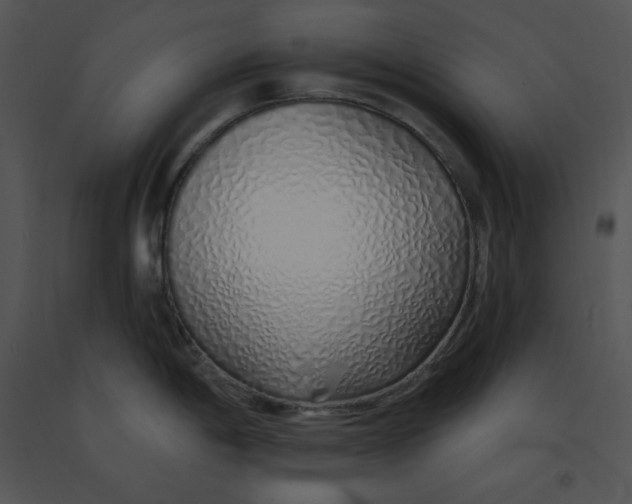 X0000091371198200708311519