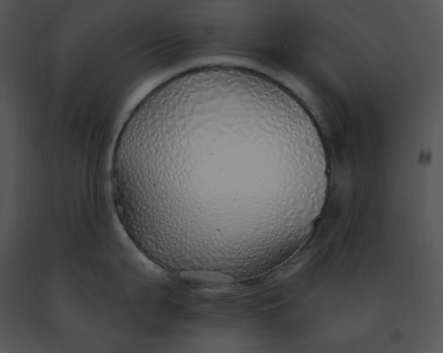 X0000091371199200708311519