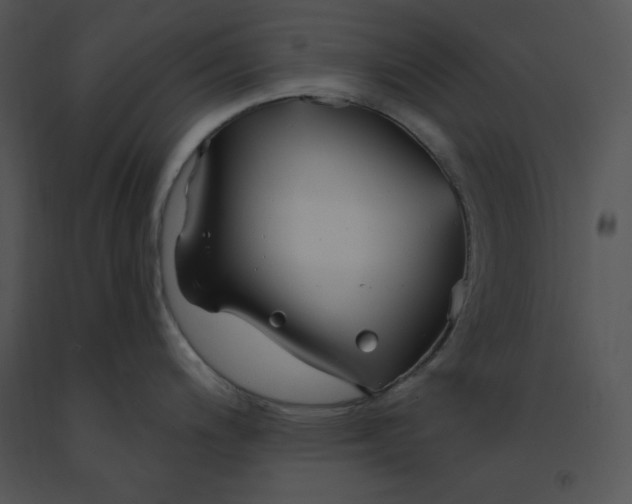 X0000091371200200708311519