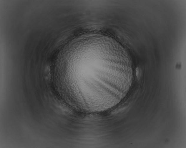 X0000091371203200708311518