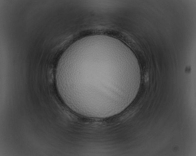 X0000091371204200708311518