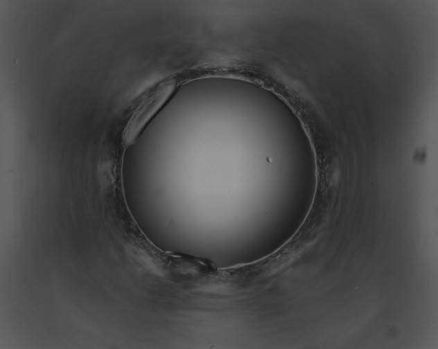 X0000091371206200708311518