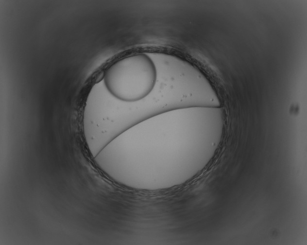 X0000091371208200708311518