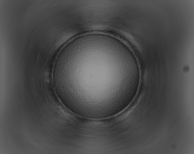 X0000091371209200708311518