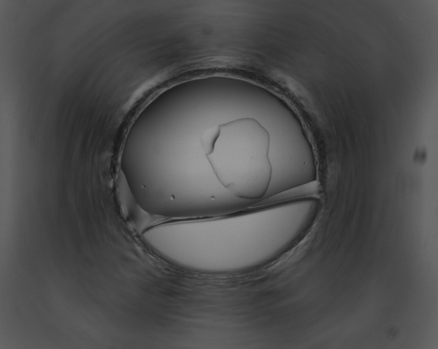 X0000091371210200708311518