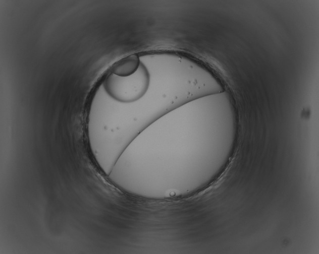 X0000091371212200708311518