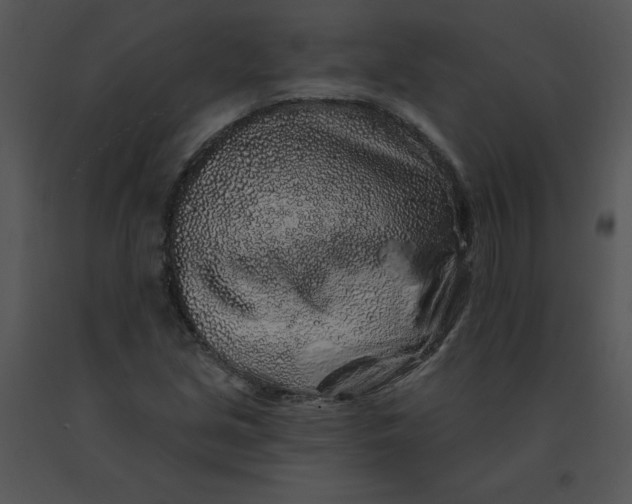 X0000091371213200708311518