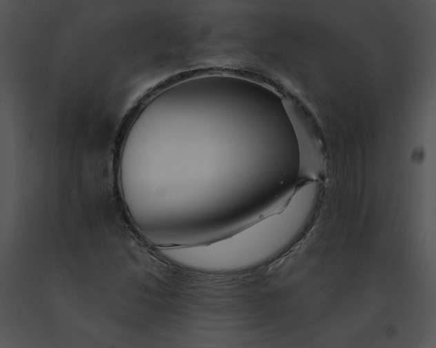 X0000091371214200708311518