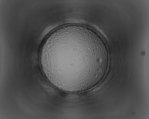 X0000091371215200708311518